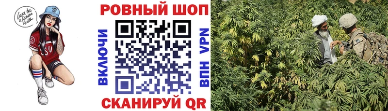 Купить наркотики сайты Кашин блэк спрут зеркало  Меф мяу мяу  ГАШ  Амфетамин  Канабис  Cocaine  МЕТАДОН 