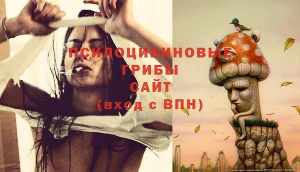 сатива Армянск