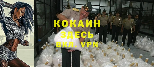 сатива Армянск