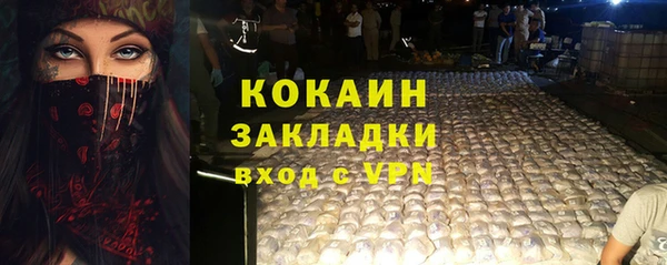 сатива Армянск
