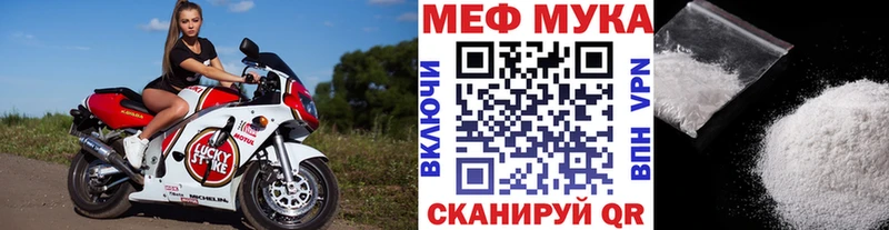МЕФ  Кашин